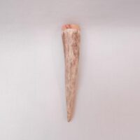 Red Deer Antler Kilt Pin: Scottish Burr Elm Sapwood Gift