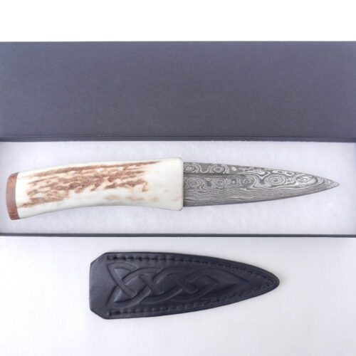 DSCN2968 Scottish Red Deer Antler and Burr Wych Elm Damascus Sgian Dubh