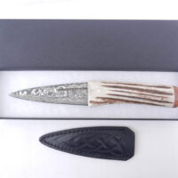 Scottish Red Deer Antler and Burr Wych Elm Damascus Sgian Dubh