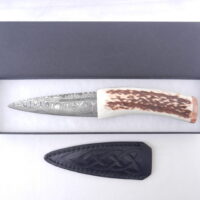 Scottish Red Deer Antler and Burr Wych Elm sapwood Damascus Sgian Dubh