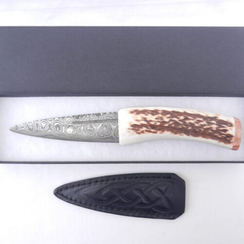 Scottish Red Deer Antler and Burr Wych Elm sapwood Damascus Sgian Dubh