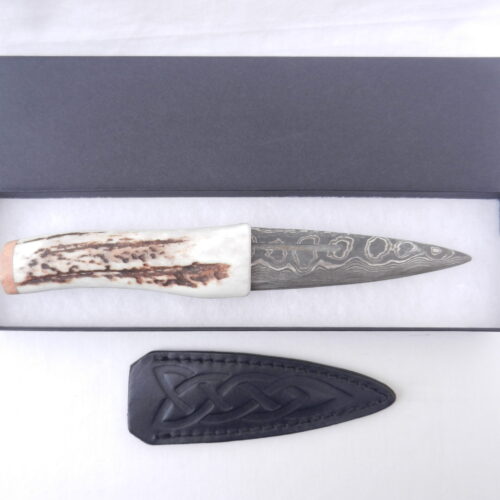 DSCN3010 Scottish Red Deer Antler and Burr Wych Elm sapwood Damascus Sgian Dubh