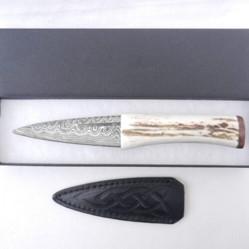 DSCN3017 Scottish Red Deer Antler and Snakewood Damascus Sgian Dubh