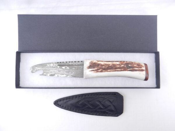 Scottish Red Deer Antler and Snakewood Damascus Sgian Brew