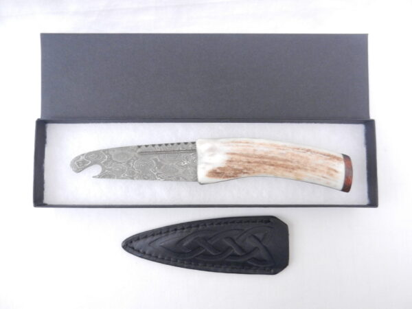 Scottish Red Deer Antler and Snakewood Damascus Sgian Brew