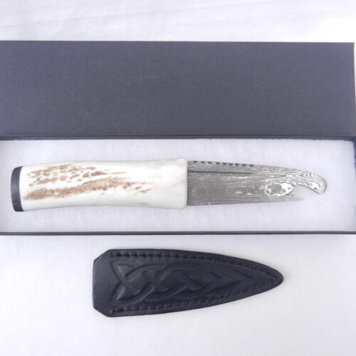 DSCN3038 Scottish Red Deer Antler and Bog Oak Damascus Sgian Brew