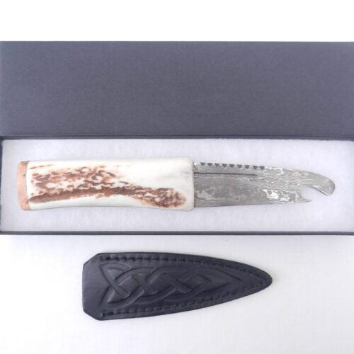 Scottish Red Deer Antler and Burr Wych Elm sapwood Damascus Sgian Brew