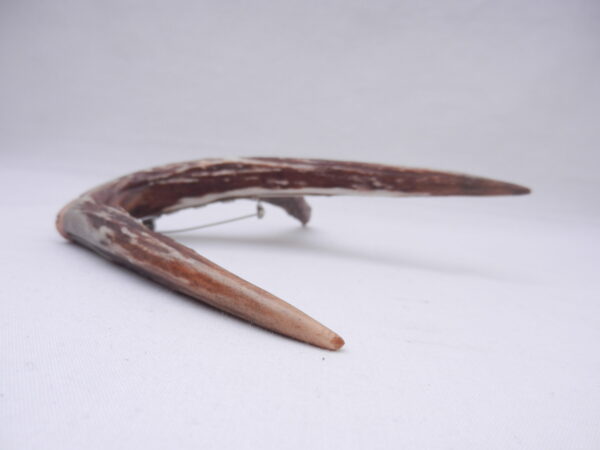 DSCN3054 Scottish Roe Buck Antler Kilt Pin with Burr Wych Elm sapwood - large size