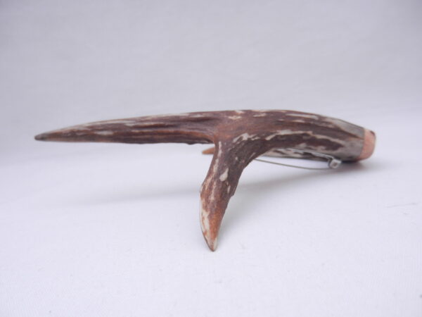 DSCN3055 Scottish Roe Buck Antler Kilt Pin with Burr Wych Elm sapwood - large size