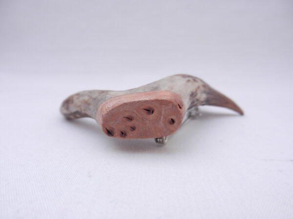Scottish Roe Buck Antler Kilt Pin with Burr Wych Elm sapwood