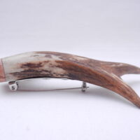 Scottish Roe Buck Antler Kilt Pin with Burr Wych Elm sapwood