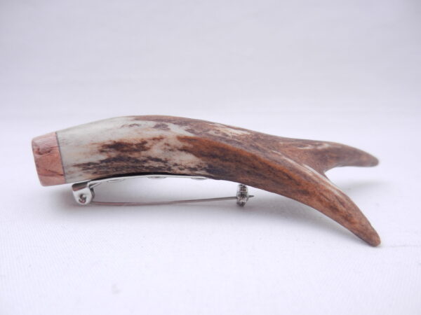 Scottish Roe Buck Antler Kilt Pin with Burr Wych Elm sapwood