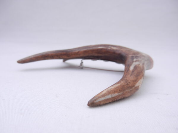 Scottish Roe Buck Antler Kilt Pin with Burr Wych Elm sapwood