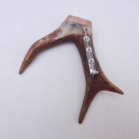 Scottish Roe Buck Antler Kilt Pin with Burr Wych Elm sapwood