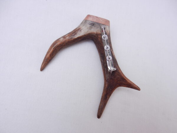 Scottish Roe Buck Antler Kilt Pin with Burr Wych Elm sapwood