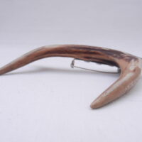 DSCN3065 Scottish Roe Buck Antler Kilt Pin with Bog Oak