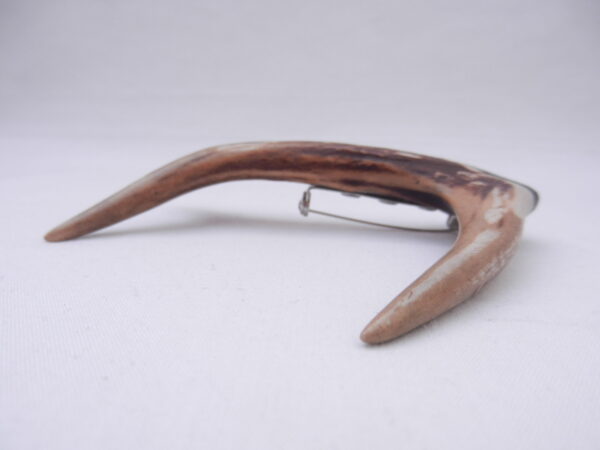 DSCN3065 Scottish Roe Buck Antler Kilt Pin with Bog Oak