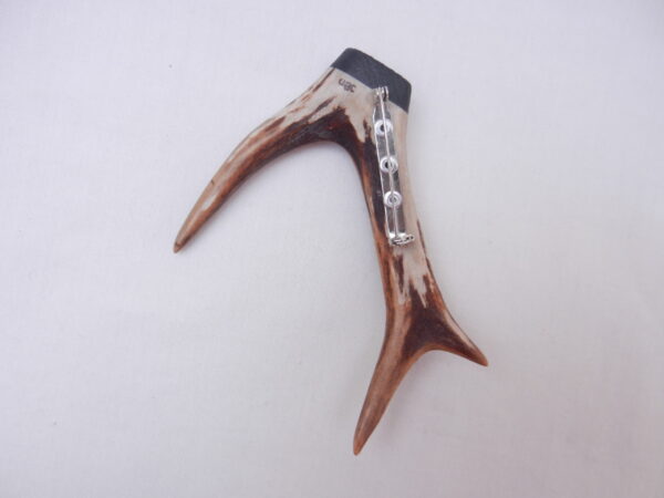 DSCN3066 Scottish Roe Buck Antler Kilt Pin with Bog Oak