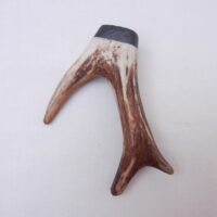 DSCN3067 Scottish Roe Buck Antler Kilt Pin with Bog Oak