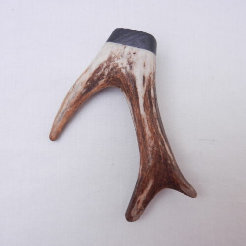 DSCN3067 Scottish Roe Buck Antler Kilt Pin with Bog Oak