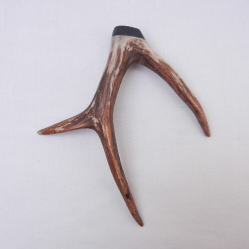 DSCN3072 Scottish Roe Buck Antler Kilt Pin with Bog Oak - Large size