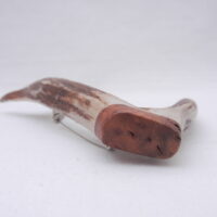 DSCN3078 Scottish Roe Buck Antler Kilt Pin with Burr Wych Elm - Large size