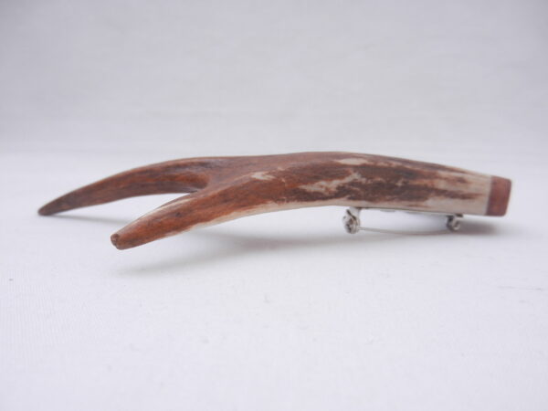 DSCN3080 Scottish Roe Buck Antler Kilt Pin with Burr Wych Elm - Large size