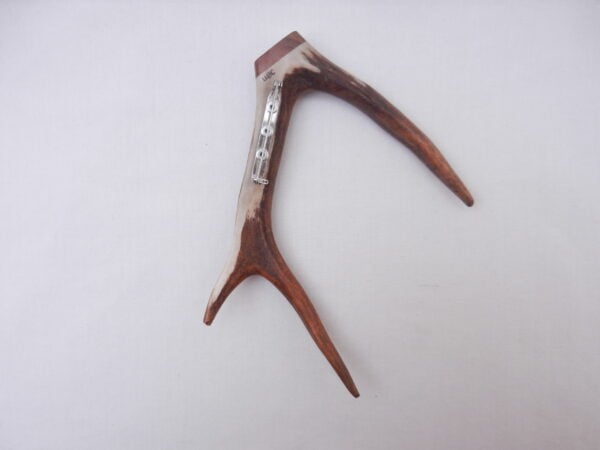 DSCN3081 Scottish Roe Buck Antler Kilt Pin with Burr Wych Elm - Large size