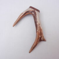 Scottish Roe Buck Antler Kilt Pin with Surinese Snakewood