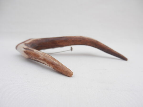 DSCN3096 Scottish Roe Buck Antler Kilt Pin with Burr Wych Elm