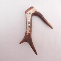DSCN3098 Scottish Roe Buck Antler Kilt Pin with Burr Wych Elm