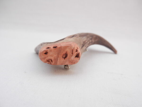 Scottish Roe Buck Antler Kilt Pin with Burr Wych Elm sapwood