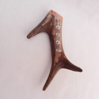 Scottish Roe Buck Antler Kilt Pin with Burr Wych Elm sapwood