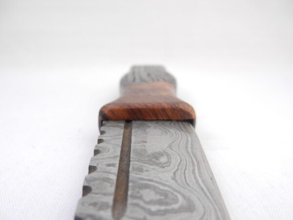 DSCN3142 Bog Oak and Desert Ironwood Burr Damascus Steel Sgian Dubh- sharpened