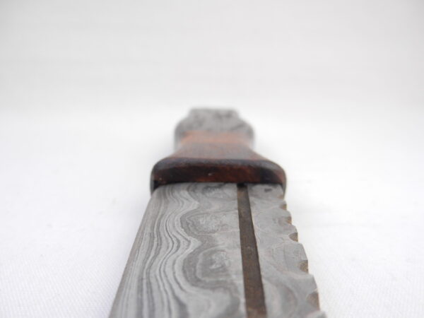 DSCN3143 Bog Oak and Desert Ironwood Burr Damascus Steel Sgian Dubh- sharpened