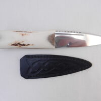 DSCN3149 Natural Sgian Dubh in Scottish Red Deer Antler with Wych Elm centre