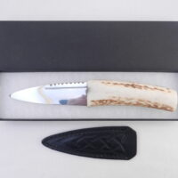 DSCN3155 Natural Sgian Dubh in Scottish Red Deer Antler with Wych Elm centre