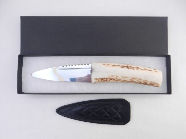 DSCN3155 Natural Sgian Dubh in Scottish Red Deer Antler with Wych Elm centre