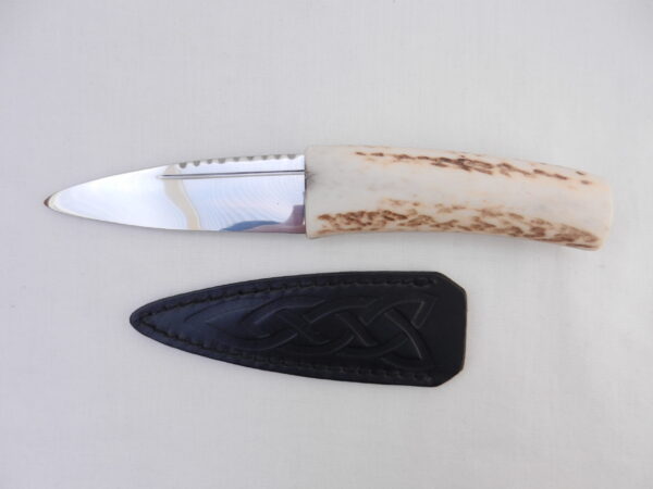 DSCN3156 Natural Sgian Dubh in Scottish Red Deer Antler with Wych Elm centre