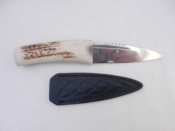 DSCN3157 Natural Sgian Dubh in Scottish Red Deer Antler with Wych Elm centre