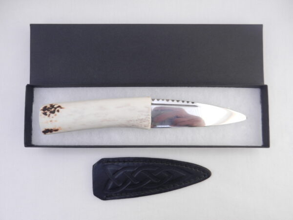 DSCN3162 Natural Sgian Dubh in Scottish Red Deer Antler with Wych Elm centre