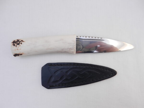 DSCN3163 Natural Sgian Dubh in Scottish Red Deer Antler with Wych Elm centre