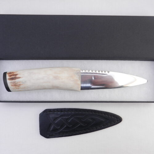 DSCN3169 Natural Sgian Dubh in Scottish Red Deer Stag Antler and Bog Oak