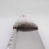 DSCN3175 Natural Sgian Dubh in Scottish Red Deer Stag Antler and Bog Oak