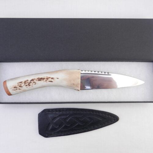 DSCN3176 Natural Sgian Dubh in Scottish Red Deer Stag Antler and Burr Wych Elm