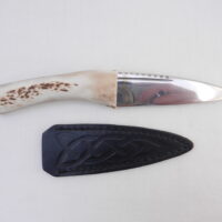 DSCN3177 Natural Sgian Dubh in Scottish Red Deer Stag Antler and Burr Wych Elm