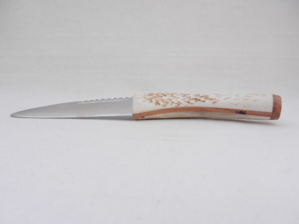 DSCN3179 Natural Sgian Dubh in Scottish Red Deer Stag Antler and Burr Wych Elm