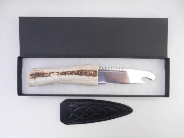 Natural Sgian Brew in Red Deer Stag Antler with Wych Elm centre