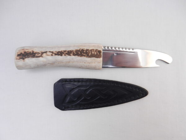 Natural Sgian Brew in Red Deer Stag Antler with Wych Elm centre