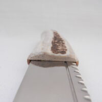 Natural Sgian Brew in Red Deer Stag Antler with Wych Elm centre